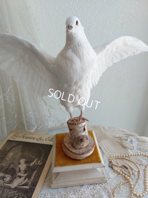 画像11: アンティーク台座