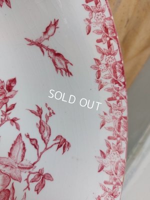 画像16: Eglantineジアン窯ベイスン