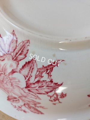 画像12: Eglantineジアン窯ベイスン