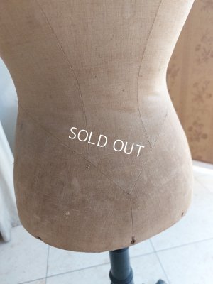 画像7: ナポレオン三世チャイルドトルソー