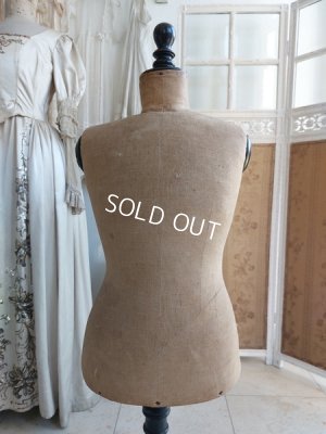 画像5: ナポレオン三世チャイルドトルソー