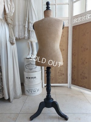 画像8: ナポレオン三世チャイルドトルソー