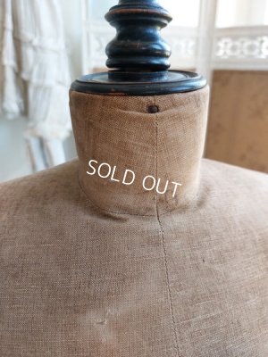 画像13: ナポレオン三世チャイルドトルソー