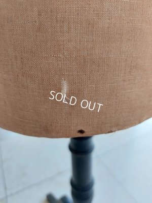 画像15: ナポレオン三世チャイルドトルソー