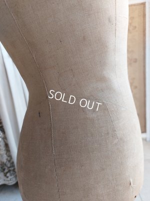 画像10: ナポレオン三世チャイルドトルソー