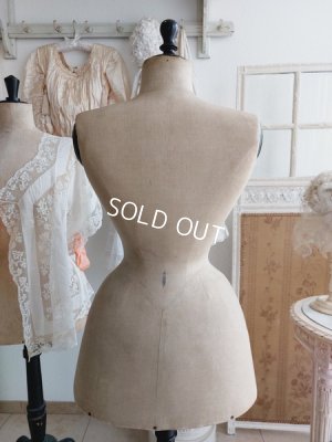 画像6: ヴィクトリアントルソー