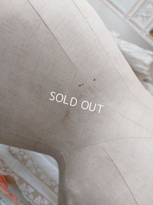 画像13: ヴィクトリアントルソー