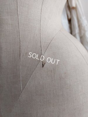 画像14: ヴィクトリアントルソー