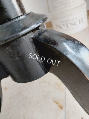 画像15: ヴィクトリアントルソー