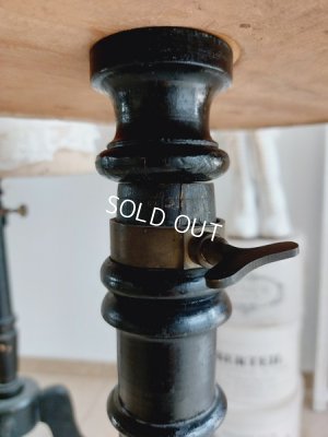 画像17: ヴィクトリアントルソー