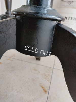 画像18: ヴィクトリアントルソー