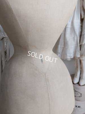 画像10: ヴィクトリアントルソー