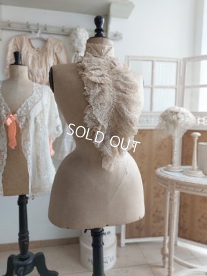 画像27: ヴィクトリアントルソー