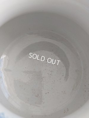 画像10: Moulin des Loups花柄ピッチャー