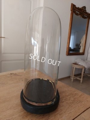 画像5: アンティークオーヴァルガラスドーム