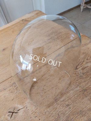 画像6: アンティークオーヴァルガラスドーム