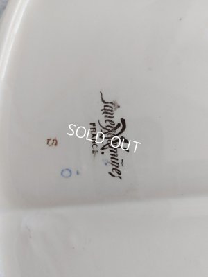 画像20: サルグミンヌEnfant Richardスタンド付ベイスン