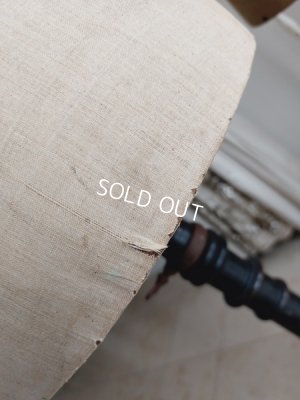 画像20: ストックマンヴィクトリアントルソー