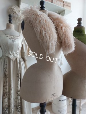 画像29: ストックマンヴィクトリアントルソー