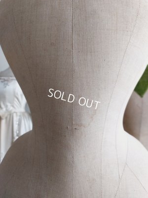 画像10: ストックマンヴィクトリアントルソー