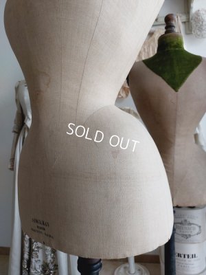 画像12: ストックマンヴィクトリアントルソー