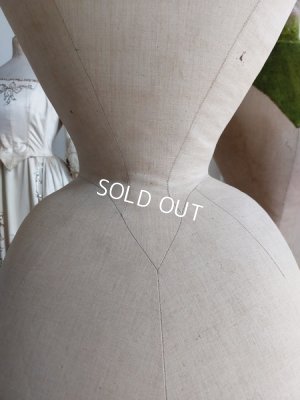 画像14: ストックマンヴィクトリアントルソー