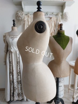 画像5: ストックマンヴィクトリアントルソー