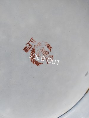 画像8: BFアンティークホーローローズ柄ペイル