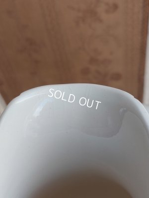 画像10: サルグミンヌEnfant Richardピッチャー