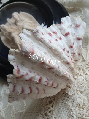 画像8: ナポレオン三世エンジェルメダイヨン