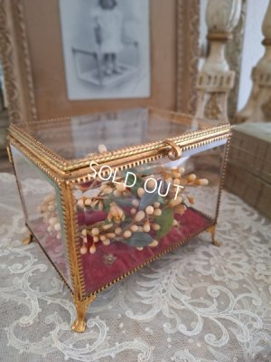 antiqueglasscase
