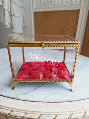 画像8: アンティークマリエガラスケース