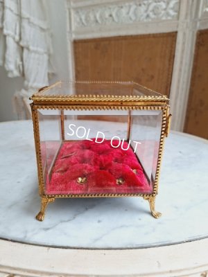 画像9: アンティークマリエガラスケース