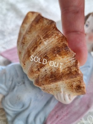 画像13: アンティークビスクエンジェル聖水盤