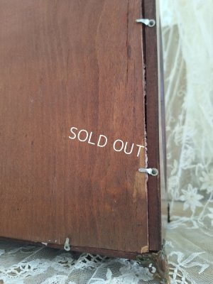 画像24: アンティークマリエガラスケース