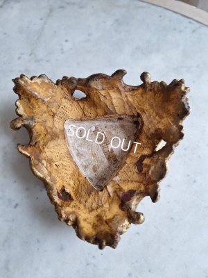 画像13: アンティーク台座