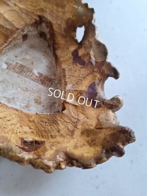 画像15: アンティーク台座