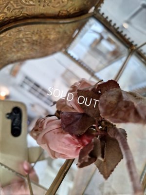 画像21: アンティークガラスケース