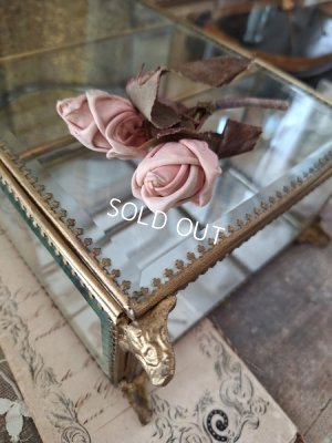 画像9: アンティークガラスケース