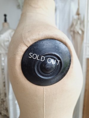 画像26: ストックマンチャイルドトルソー