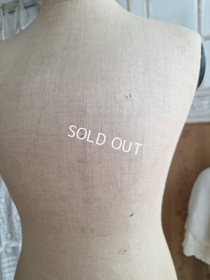 画像17: ストックマンチャイルドトルソー