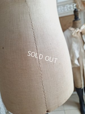 画像18: ストックマンチャイルドトルソー