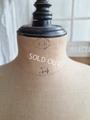 画像25: ストックマンチャイルドトルソー