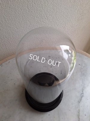 画像9: アンティークガラスドーム