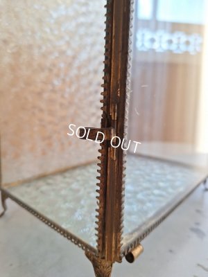 画像19: アンティークマリエガラスケース