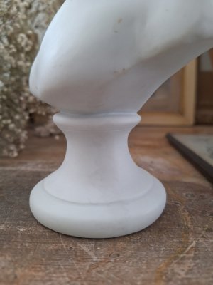 画像15: Louise Brongniar胸像