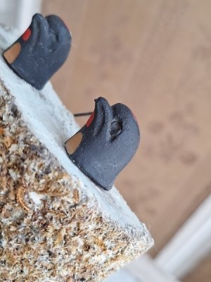 画像4: 木製ツバメの巣セット