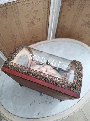 画像11: アンティークマリエガラスケース