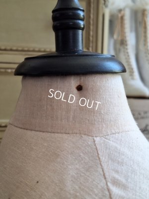 画像15: 小さなトルソー　