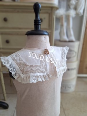 画像17: 小さなトルソー　